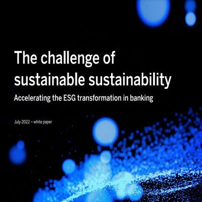 The challenge of sustainable sustainability: Accelerating the ESG